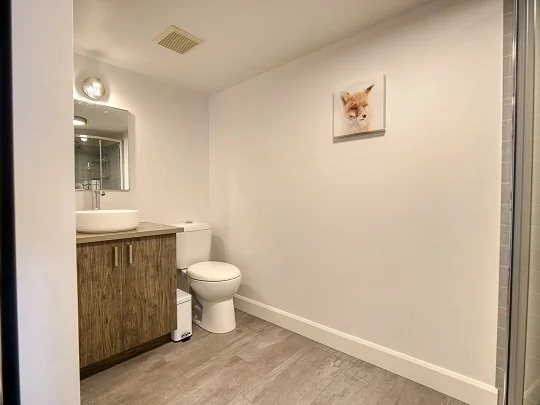 Salle de bain du chalet